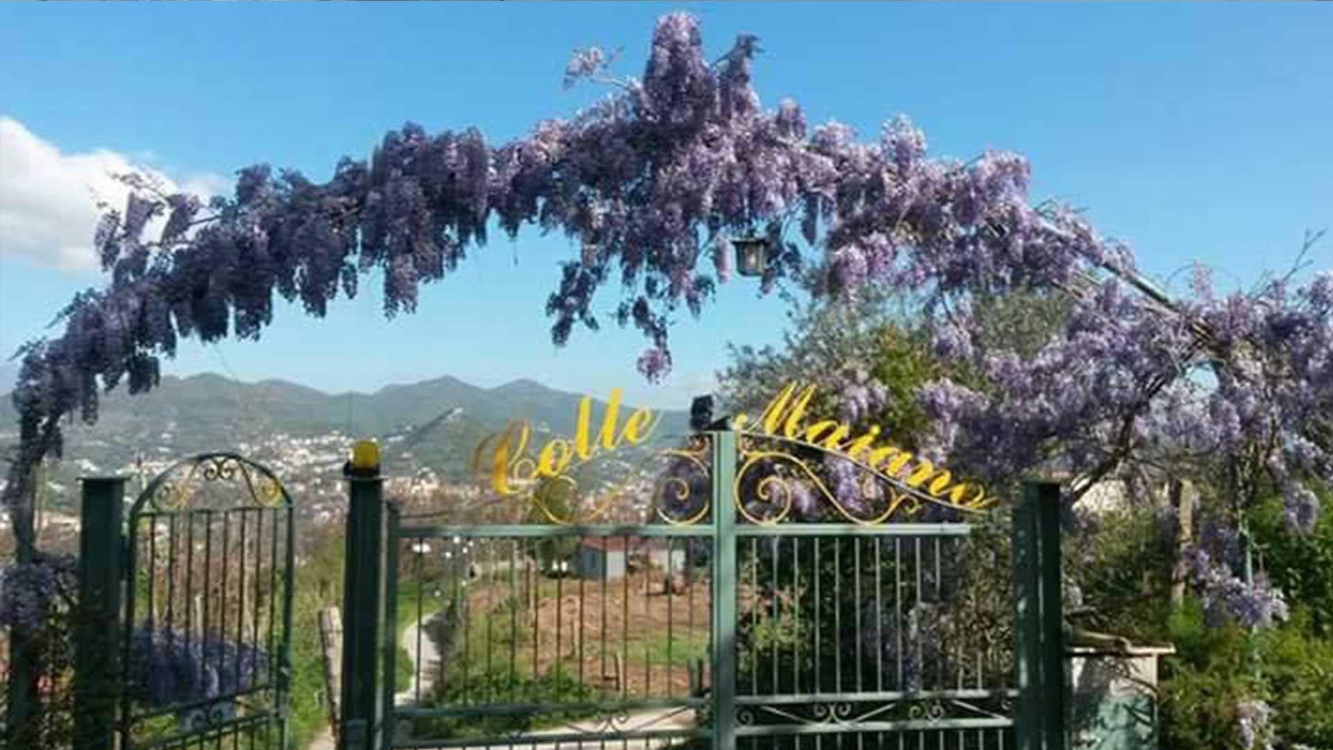 AGRITURISMO COLLE MAIANO